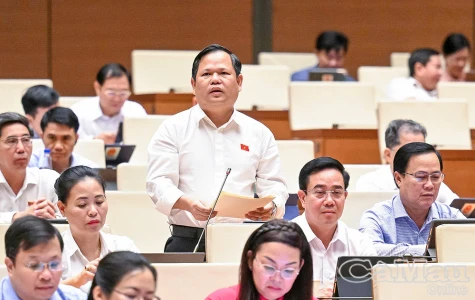 Cần cải cách mạnh mẽ Luật Quy hoạch để tạo đột phá trong phát triển quốc gia