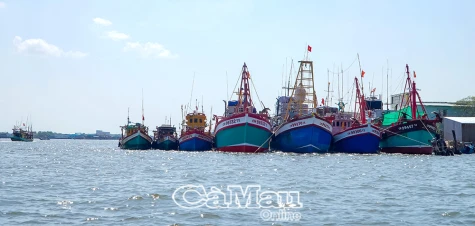Chủ động trước mùa mưa bão