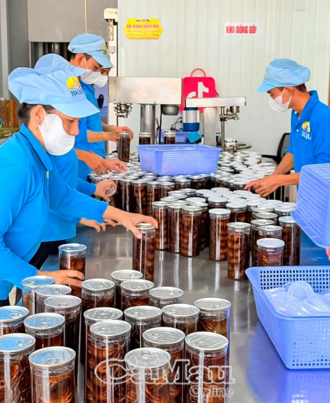 Ðể hợp tác xã trụ vững trong tình hình mới