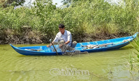 Giải pháp tăng năng suất tôm quảng canh cải tiến