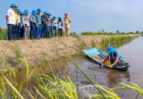 Hướng đi hiệu quả cho người nuôi tôm