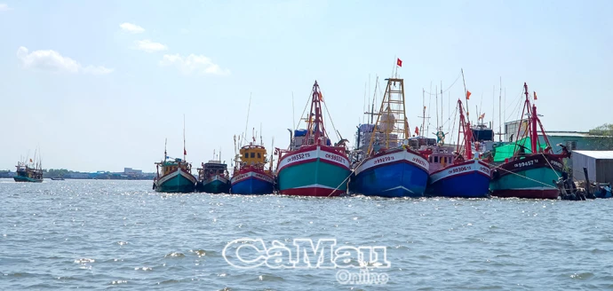 Chủ động trước mùa mưa bão