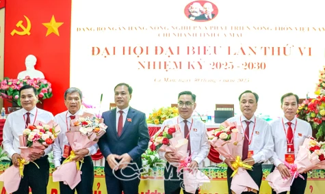 Tiếp tục thực hiện thành công các chương trình tín dụng chính sách, góp phần phát triển kinh tế - xã hội địa phương