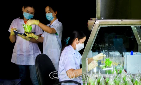 Từng bước hình thành nền kinh tế tri thức