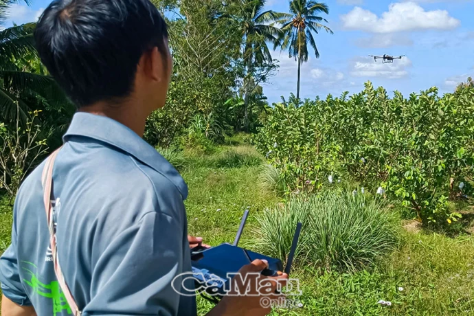 Số hoá để phát triển nông nghiệp bền vững - Bài 2: Bài toán cân não