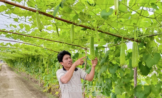 Vốn chính sách giải quyết việc làm, tăng thu nhập