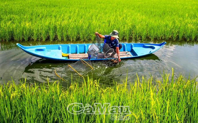 Mạnh dạn chuyển đổi mô hình