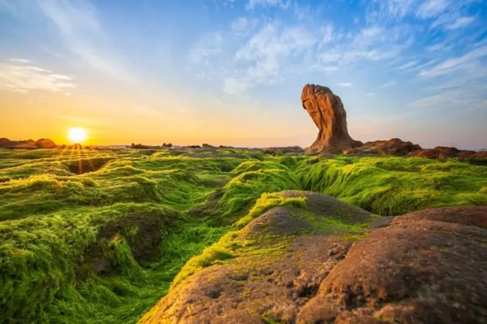 Khám phá bãi biển Cổ Thạch - vẻ đẹp kỳ lạ thu hút du khách