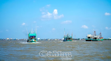 Quản lý tàu cá – Nhiều khó khăn cần tháo gỡ