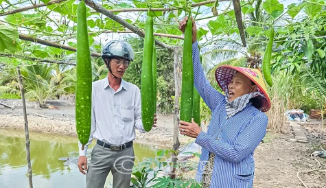 Hỗ trợ chị em làm kinh tế