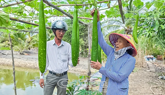 Hỗ trợ chị em làm kinh tế