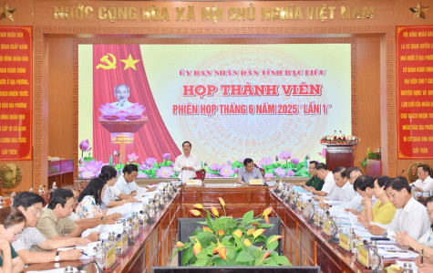 Họp thành viên UBND tỉnh: Thông qua 29 dự thảo văn bản