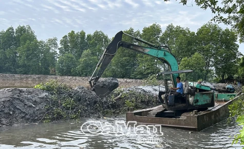 Chủ động các giải pháp bảo vệ sản xuất