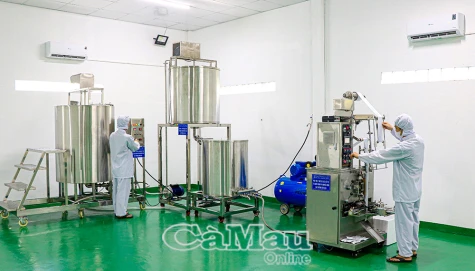 Tận dụng thế mạnh phát triển công nghiệp nông thôn