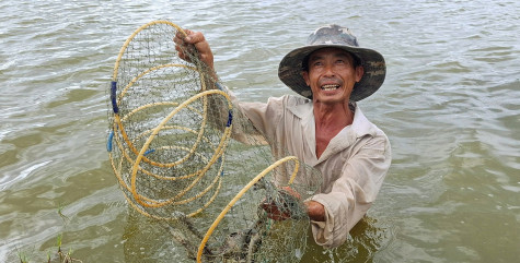 Hiệu quả từ canh tác nông nghiệp thích ứng với biến đổi khí hậu