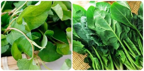 Một số loại rau quả thải độc gan hiệu quả