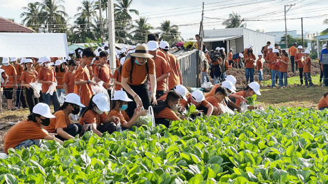 TP. Bạc Liêu: Tăng cường đầu tư cho phát triển du lịch