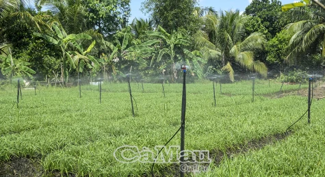 Niềm tin về nông nghiệp sạch