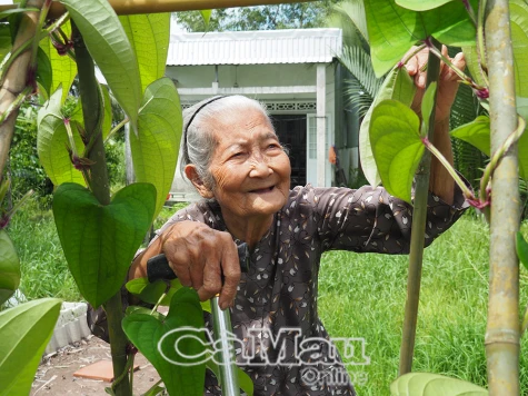 Niềm vui trong ngôi nhà mới