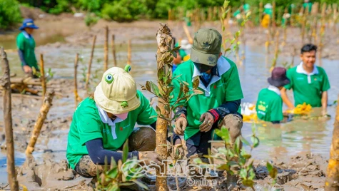 Tham vấn cộng đồng cho Dự án carbon tiêu chuẩn Vàng vì phát triển bền vững
