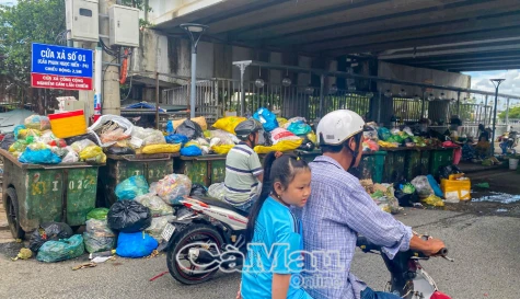 TP Cà Mau tồn đọng 70 tấn rác do nhà máy ngưng hoạt động chờ đơn giá mới