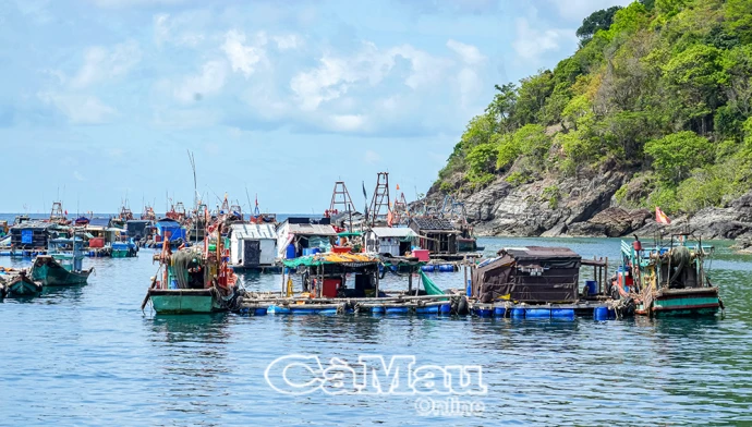 Mạnh, giàu từ biển