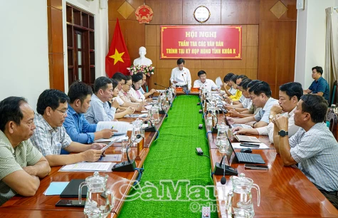 Thẩm tra các nội dung trình Kỳ họp thứ 21, HĐND tỉnh khoá X