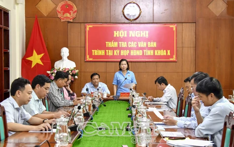 Ban Kinh tế - Ngân sách HĐND tỉnh thẩm tra các văn bản trình Kỳ họp thứ 21