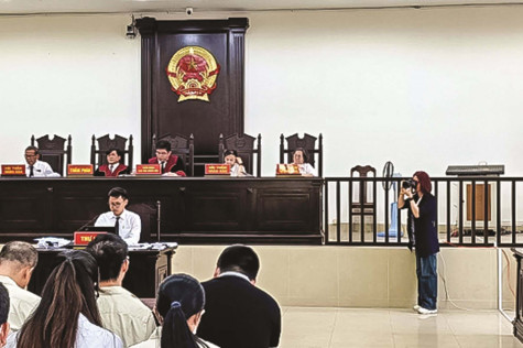 Nhà báo chốn pháp đình
