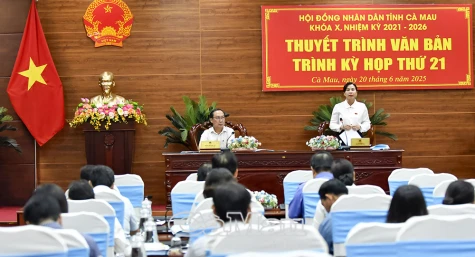 Thuyết trình các văn bản trình Kỳ họp thứ 21 HĐND tỉnh