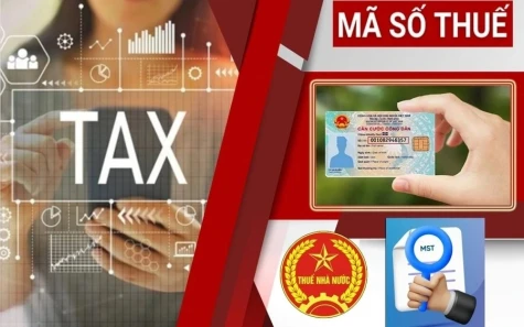 Cách tra cứu mã số thuế cá nhân không cần captcha siêu nhanh trên TopMST