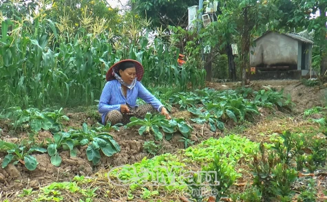 Ðổi mới để sản xuất hiệu quả