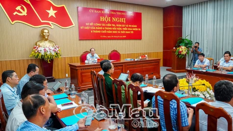 Tăng cường kiểm tra, giám sát và thi hành kỷ luật của Đảng