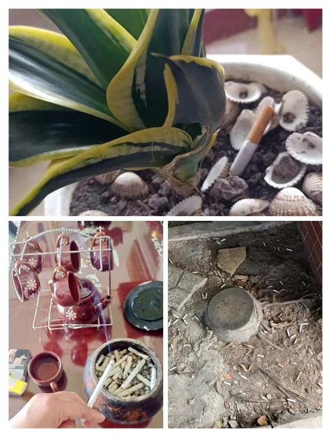 Thuốc lá và môi trường
