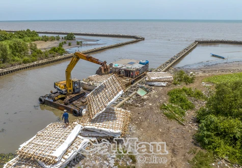Bảo vệ đê điều mùa mưa bão
