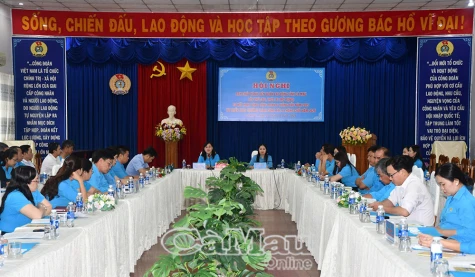 Tập trung kiện toàn tổ chức, đổi mới hoạt động công đoàn trong giai đoạn mới