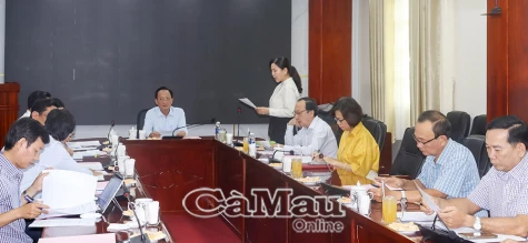 Tập trung hoàn thiện Kế hoạch tổ chức Kỳ họp thứ Nhất HĐND tỉnh Cà Mau (sau hợp nhất)