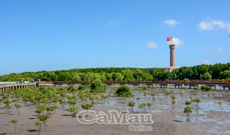 Hội tụ lợi thế đưa du lịch “cất cánh”