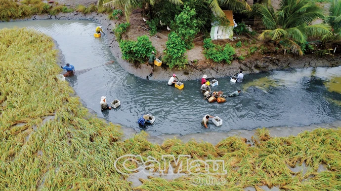 Thuỷ sản tiếp tục là ngành kinh tế mũi nhọn