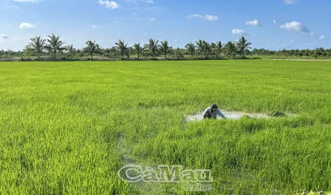 Chủ động thích ứng trước thiên tai ngày càng cực đoan