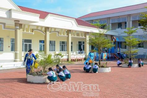 Nửa thế kỷ chuyện “trồng người” ở Cà Mau