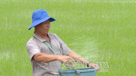 Nông dân Cà Mau lo lắng trước “bão giá” vật tư nông nghiệp