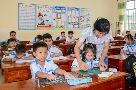 Nửa thế kỷ chuyện “trồng người” ở Cà Mau - Bài 2: Nhà giáo hai quê