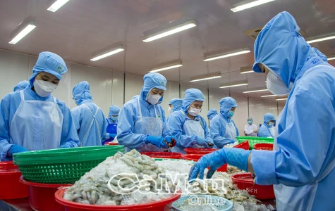 Thu hút vốn FDI cho các tỉnh ÐBSCL sau hợp nhất: Nhu cầu bức thiết cho tăng trưởng nhanh