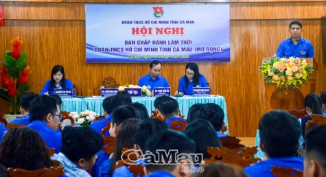 Tỉnh đoàn Cà Mau đặt  ra 12 chỉ tiêu phấn đấu trong 6 tháng cuối năm