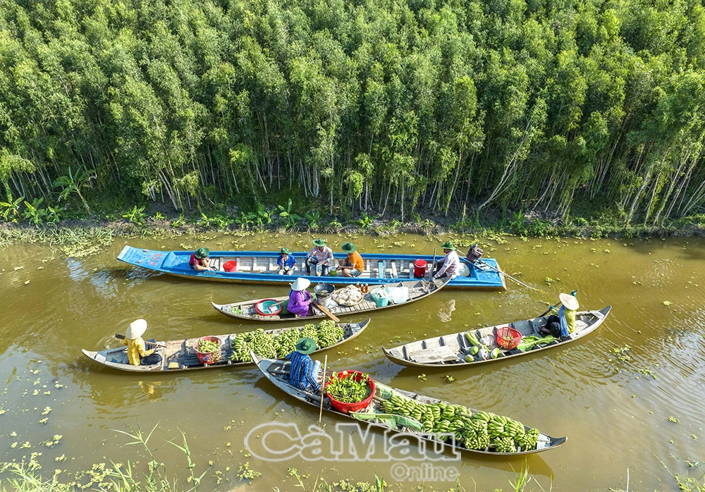 Hấp dẫn U Minh Hạ mùa nước nổi