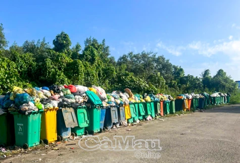 Sớm khắc phục tình trạng ùn ứ rác trên đê biển Tây