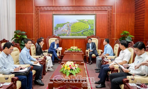 Thúc đẩy triển khai hiệu quả dự án đê biển Tây tại Cà Mau
