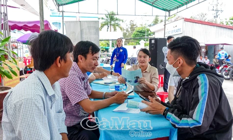 Cà Mau tăng kết nối đào tạo nghề và doanh nghiệp