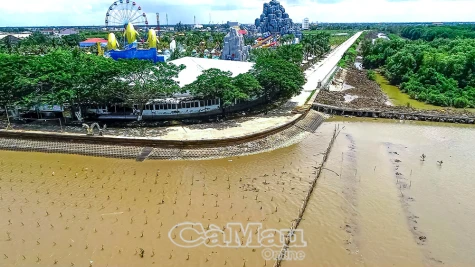 Tái sinh rừng phòng hộ 